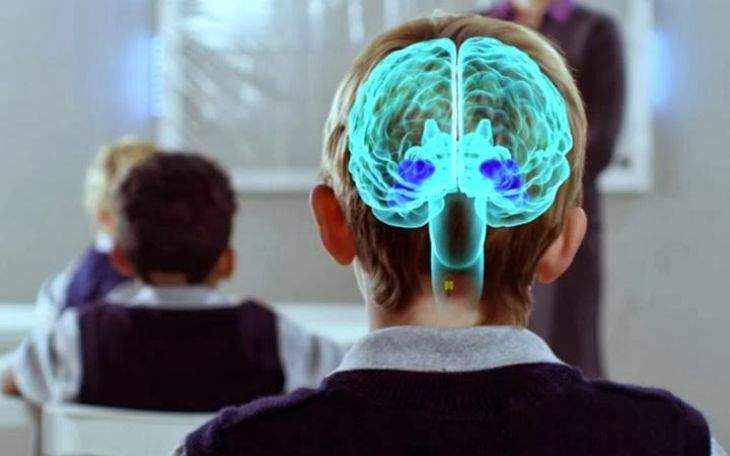 Funcionamiento del cerebro y Neuroeducación Funcionamiento del cerebro y Neuroeducación