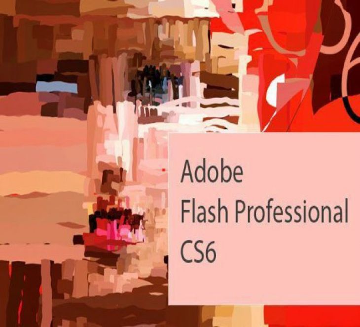 Curso Básico de Adobe Flash Professional CS6 Curso Básico de Adobe Flash Professional CS6