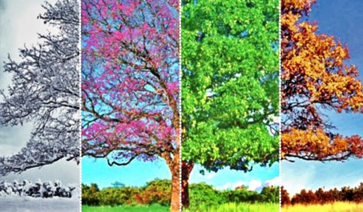Estaciones del Año y el Clima Estaciones del Año y el Clima