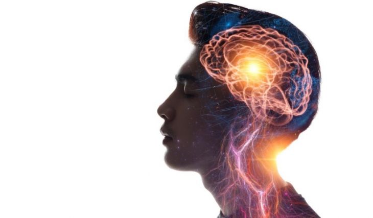 Neurociencia y Calidad de Vida Neurociencia y Calidad de Vida