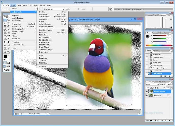 Photoshop actualizado: el arte de la edición fotográfica Photoshop actualizado: el arte de la edición fotográfica