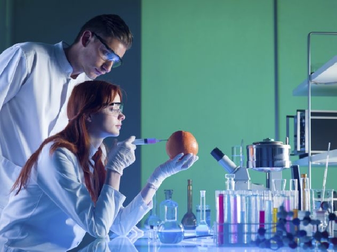Los químicos y nuestra salud Los químicos y nuestra salud